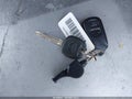 2005 Toyota 4Runner — photo 11 of 17 | VIN JTEBU17R058029851