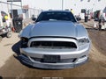 2014 Ford Mustang — photo 12 of 16 | VIN 1ZVBP8AM8E5305385