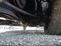 2001 Honda Accord — photo 15 of 16 | VIN 1HGCG56471A141290