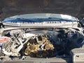 2018 Ford F-150 — photo 10 of 17 | VIN 1FTEW1EG7JKC24503