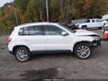 2010 Volkswagen Tiguan — photo 13 of 15 | VIN WVGBV7AX3AW500680