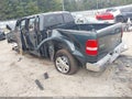 2004 Ford F-150 — photo 3 of 15 | VIN 1FTPW12514KD18487