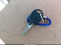 2004 Volkswagen Beetle — photo 11 of 11 | VIN 3VWCD21C34M402021