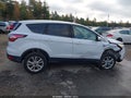 2017 Ford Escape — photo 14 of 17 | VIN 1FMCU9GD0HUE48737
