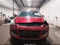 2014 Ford Escape — photo 12 of 16 | VIN 1FMCU9J97EUC65691