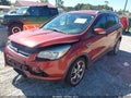 2014 Ford Escape — photo 2 of 16 | VIN 1FMCU0J92EUD13884