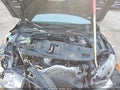 2019 Honda Civic — photo 10 of 17 | VIN 2HGFC2F6XKH546989