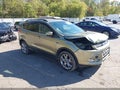 2013 Ford Escape — photo 1 of 17 | VIN 1FMCU9H90DUA85716