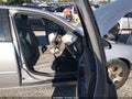 2004 Chevrolet Malibu Limited — photo 5 of 17 | VIN 1G1ZU54884F165797