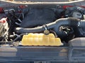 2015 Ford F-150 — photo 10 of 21 | VIN 1FTFW1EG1FKE41539