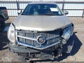 2011 Cadillac SRX — photo 6 of 17 | VIN 3GYFNCEY9BS642900