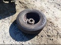 2003 Dodge Dakota — photo 19 of 19 | VIN 1D7HL12X83S133601