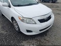 2010 Toyota Corolla — photo 18 of 22 | VIN 1NXBU4EE2AZ282883