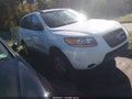 2009 Hyundai Santa Fe — photo 1 of 11 | VIN 5NMSG13D59H318900