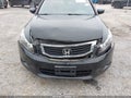 2010 Honda Accord — photo 6 of 17 | VIN 1HGCP3F83AA010381