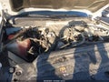 2016 Chevrolet Silverado 2500 — photo 6 of 18 | VIN 1GC1KXE82GF242575