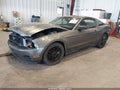2010 Ford Mustang — photo 2 of 12 | VIN 1ZVBP8AN1A5134823