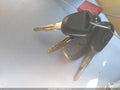 2006 Acura TSX — photo 11 of 17 | VIN JH4CL96986C027676