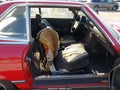 1986 Mercedes-Benz 560 — photo 5 of 16 | VIN WDBBA48DXGA049438