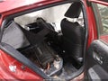 2022 Toyota Prius — photo 8 of 21 | VIN JTDL9MFU5N3034509