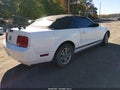 2005 Ford Mustang — photo 4 of 10 | VIN 1ZVHT84N755231449