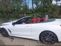 2019 BMW M850i xDrive — photo 14 of 16 | VIN WBAFY4C55KBX29715