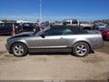 2008 Ford Mustang — photo 14 of 16 | VIN 1ZVHT84N985156483