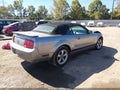 2008 Ford Mustang — photo 4 of 16 | VIN 1ZVHT84N985156483