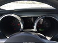 2008 Ford Mustang — photo 7 of 16 | VIN 1ZVHT84N985156483