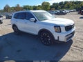 2024 Kia Telluride — photo 1 of 14 | VIN 5XYP5DGCXRG419391