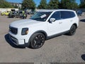 2024 Kia Telluride — photo 2 of 14 | VIN 5XYP5DGCXRG419391
