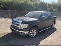 2014 Ford F-150 — photo 2 of 11 | VIN 1FTFW1CF9EFA41097