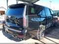 2025 Cadillac Escalade ESV — photo 19 of 20 | VIN 1GYS9SR98SR110833