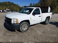 2010 Chevrolet Silverado 1500 — photo 2 of 11 | VIN 1GCPKPEX2AZ148896