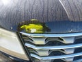 2017 Ford Explorer — photo 22 of 22 | VIN 1FM5K7DH8HGC08411