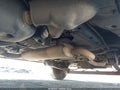 2016 Ram ProMaster 1500 — photo 20 of 22 | VIN 3C6TRVNG9GE131006