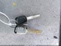 2003 Honda Civic — photo 11 of 11 | VIN 2HGES16593H535418