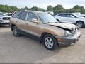 2003 Hyundai Santa Fe — photo 1 of 20 | VIN KM8SC73DX3U439495