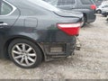 2009 Lexus LS 460 — photo 20 of 20 | VIN JTHCL46F095004006