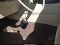 2015 Lexus GX 460 — photo 11 of 17 | VIN JTJBM7FX0F5120237
