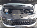 2025 Kia Carnival — photo 10 of 20 | VIN KNDNB5K38S6506485