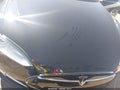2013 Tesla Model S — photo 10 of 17 | VIN 5YJSA1DPXDFP04636