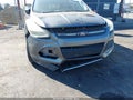 2014 Ford Escape — photo 6 of 16 | VIN 1FMCU0G99EUA23357