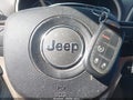 2016 Jeep Cherokee — photo 11 of 16 | VIN 1C4PJMDS7GW242273