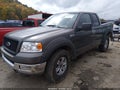 2004 Ford F-150 — photo 2 of 16 | VIN 1FTPX14584FA08596