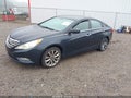 2011 Hyundai Sonata — photo 2 of 11 | VIN 5NPEC4AC3BH096810