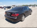 2005 Lexus ES 330 — photo 4 of 11 | VIN JTHBA30GX55123592