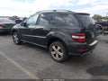 2009 Mercedes-Benz ML-Class — photo 3 of 16 | VIN 4JGBB86E59A450041