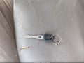 2001 Buick Century — photo 11 of 15 | VIN 2G4WY55J311112696