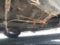 2011 Mini Cooper — photo 14 of 17 | VIN WMWSU3C50BT097348